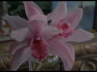 Ýabany orchidee sikiş scenes 1989, mugt ýyldyz hd ulylar uçin video 0f